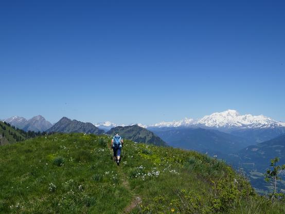 Mrs. Bergmeister walking a grassy ridge with the Mont Blanc on the horizon.