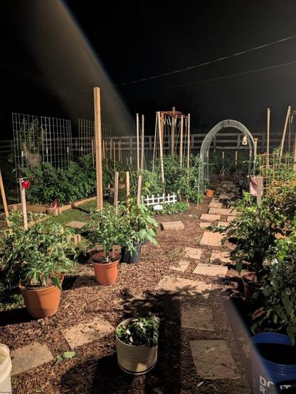 My favorite gardening time is after dark