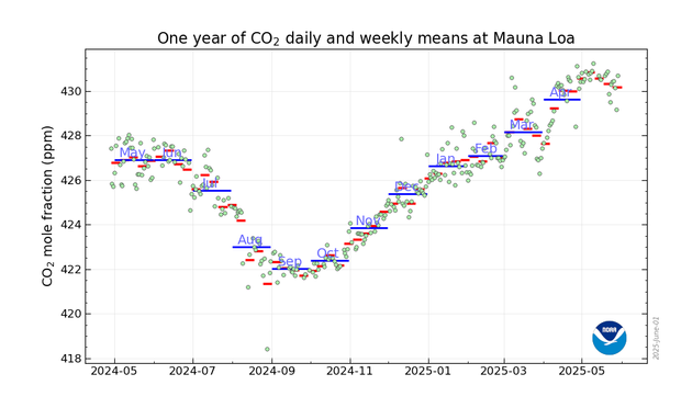 Graph showing daily, weekly and monthly values for the past 13 months. Concentration now near its seasonal high.