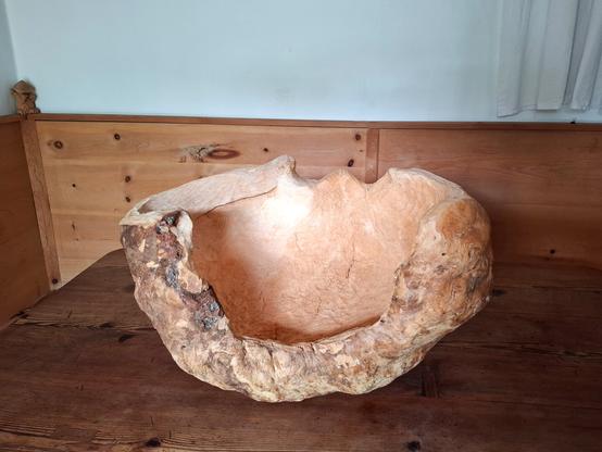 A large, organically shaped wooden sculpture or natural woodform rests on a larch wood table in the corner of a room. The room features warm-toned, knotty arolla pine paneling and built-in bench seating. The object appears to be carved from a single, solid piece of wood, with flowing curves and hollowed areas that resemble an abstract bowl or natural seat. The surface showcases a mix of smooth, pale sections and rough, textured bark-like areas, emphasizing its raw and sculptural qualities. A white curtain hangs above the paneling, and soft natural light enhances the calm, rustic atmosphere.