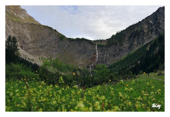 View of a large cirque with a 400m tall waterfall and even taller vertical rock walls going up on either side. The valley floor and slopes are covered in lush green meadows and forest. Blurred spring flowers in the foreground. Overcast gray sky.