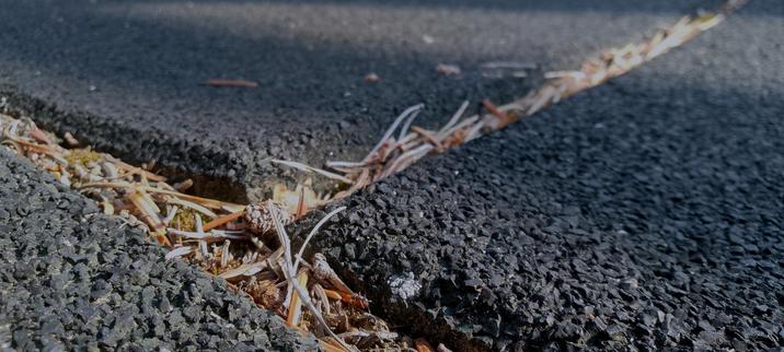 A lonely and tiny ant heading home in a canyon between soft playground flooring tiles. The seams between the tiles filled with needles of nordic pines.