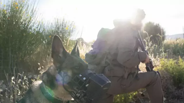 Footage from the villages of Mt. Hermon: IDF forces continue operations in Syria