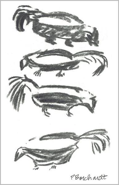 My quick gesture sketches done in charcoal, of Primrose the Striped Skunk, Tucson, AZ.