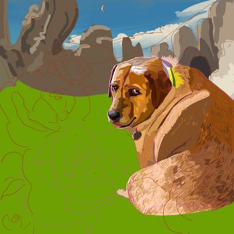 A fox red English lap looks over her shoulder. She's sitting in a desert landscape with a crescent moon.