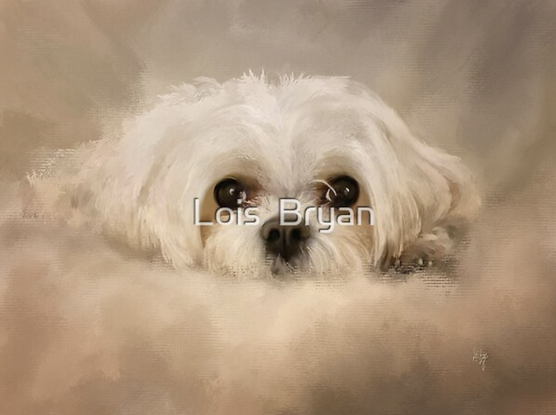 Many thanks to my 5/7 #RedBubble client from the United Kingdom for their purchase of a greeting card of "Always Here For You."  Enjoy!!

https://www.redbubble.com/shop/ap/111950026

#art #giftideas #greetingcards #maltese #maltesedogs #pets #cute #LoisBryan #digitalhandpainting #NotAi