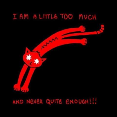 I am a little too much

[cat leaping with white stars for eyes]

and never quite enough!!!