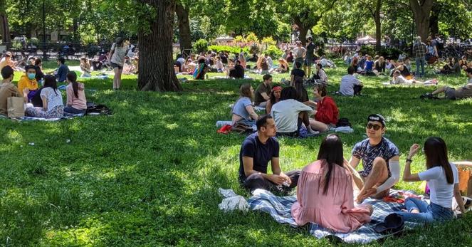 Where to Find the Perfect Picnic Spreads at Restaurants in NYC