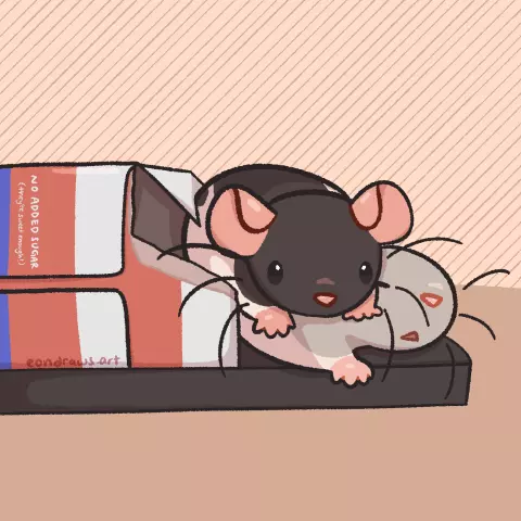 drawing of a scene in a rat cage, where a black hooded rat perches atop a silver hooded rat, squishing him down. the silver hooded rat on the bottom accepts his fate, passed out in a stupor