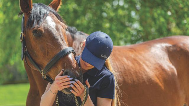 Hopes UK-EU deal could spell benefits for equine welfare and industry