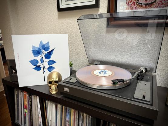 Get Sunk by Matt Berninger playing on a record player.