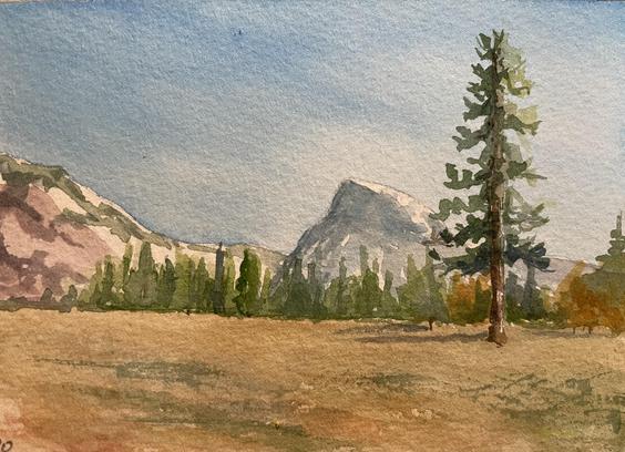 A tall pine tree stands alone in the foreground of a vast, open field, with distant evergreens lining the base of a towering, smooth-faced mountain that rises sharply beneath a quiet sky.