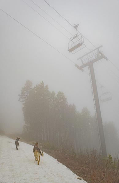 love the thick fog here 2470m where we turned back. snowpack was firm, but continuous.