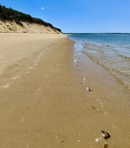 Photo of shoreline inside bay. Wide flat sandy beach on left and water on the right. The far side of the bay can be seen on the horizon. Blue sky overhead. A large bluff is also on the left.