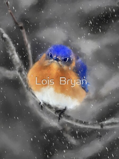 Thanks so much to my 5/9 #RedBubble client from Massachusetts for their purchase of a greeting card of "Enough Is Enough."  https://www.redbubble.com/shop/ap/168886217 #art #giftideas #greetingcards #birds #bluebirds #easternbluebirds #winter #snow #nature #digitallyhandpainted #NotAi #LoisBryan