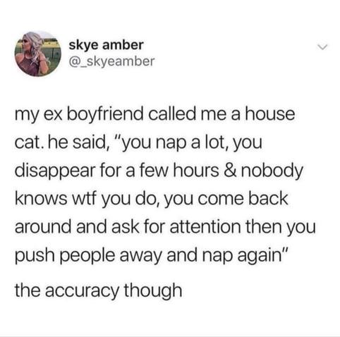 @_skyeamber on Twitter

my ex ex boyfriend called me a house cat. he said, "you nap a lot, you disappear for a few hours hours & nobody knows wtf you do, you come back around and ano ask for attention then you push people away and nap again" the accuracy though