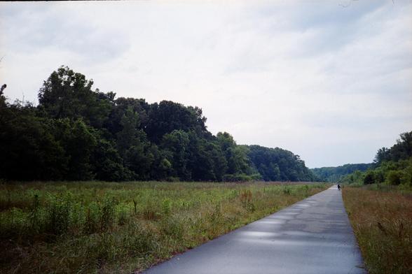 A long flat stretch of greenway, the path going through a large field bordered with trees