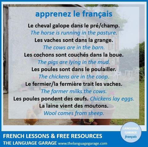 French vocabulary for farm animals, image of chickens in front of a farm house