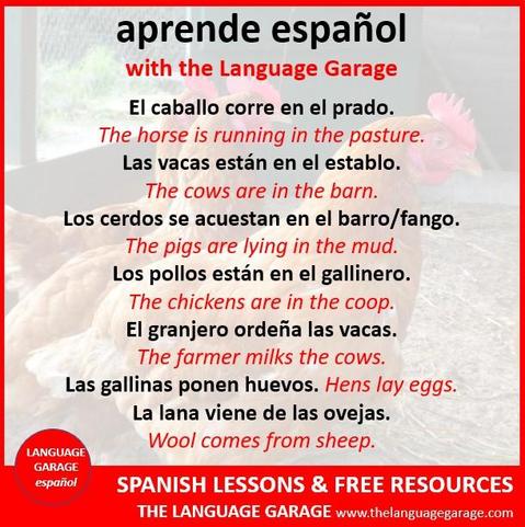 Spanish vocabulary for farm animals, image of roosters in a coop