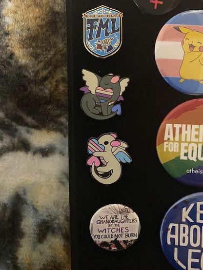 A photo of my dragon pride pins. One is genderfluid, and the other is transgender.