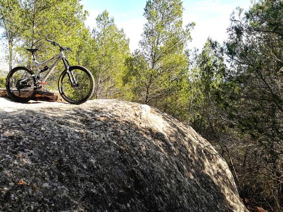 VTT prêt à bondir au milieu d'un océan de verdure. Il attend juste son branleur de proprio qui est busy à prendre des photos...