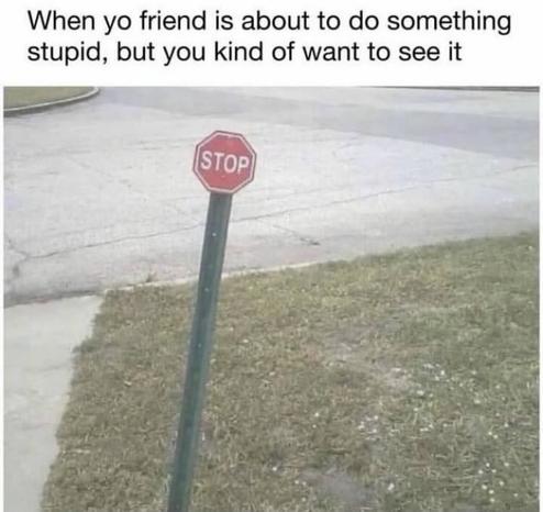 When your friend is about to do something stupid, but you kind of want to see it

*Image of a STOP sign in the street, ridiculously small*