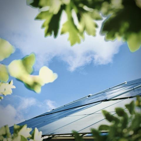 Green leaves in the foreground frame an arching solar panel array in the distance, itself reflecting a blue sky and white clouds above.