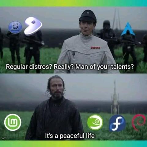 Meme shows a Star Wars scene with one character representing advanced Linux distros like Arch, Gentoo, and Slackware asking, “Regular distros? Really? Man of your talents?” The other character, now using Linux Mint, openSUSE, Fedora, and Debian replies, “It’s a peaceful life.” A humorous take on switching from hardcore to beginner-friendly Linux distros for sanity.