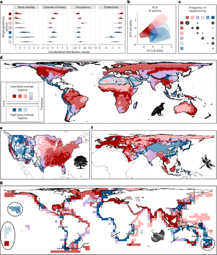 A general rule on the organization of biodiversity in Earth’s biogeographical regions