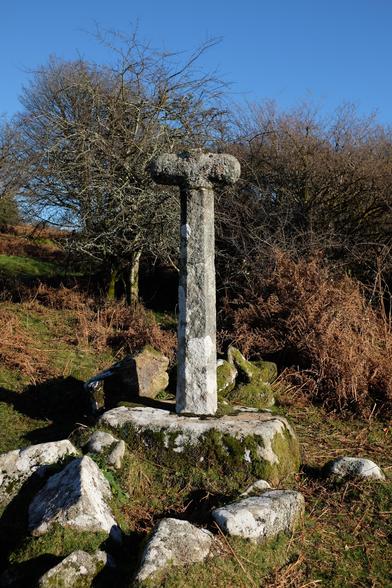 A moorland scene showing a tall granite cross. The shaft of the cross is later, indicated by its sharper edges. The original cross is more worn and has lost its top limb. The whole cross sits on a large squared-off base, probably Victorian. Around the base are scattered pieces of granite among a grassy area. In the background are dead brown bracken and shrubby bare hawthorn trees.
