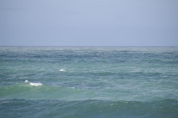 A view of a calm ocean, with a flat gray-blue sky above the horizon. The water is banded with differently-colored sections, some green, some blue, and a silvery gray strip way out by the horizon. There is a small wave forming in the foreground, which looks a darker blue as it’s beginning to rise. There are a few greenish sparkles of light on the wave and some swells behind it, and a couple of very small splashes of white water in spots.
Just a shot of the ocean, with horizontal ‘stripes’ of different colors and shades across it.