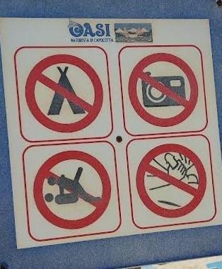 A sign at a nudist beach depicting what is not allowed, including having sex and masturbation