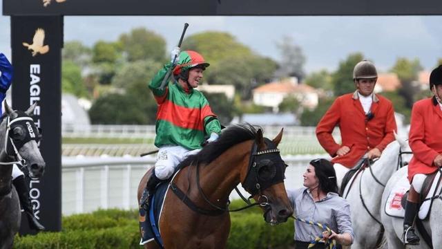 Horse racing: North Island jockeys ride in New Caledonia after racing hiatus