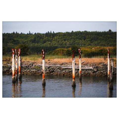 A row of tall, rusted metal pilings emerges from still water in front of a rocky shoreline. The background shows dry grass, driftwood, and a dense green forest under overcast light.