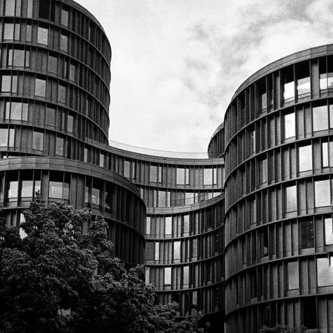 a curvy building with a tree in a corner
