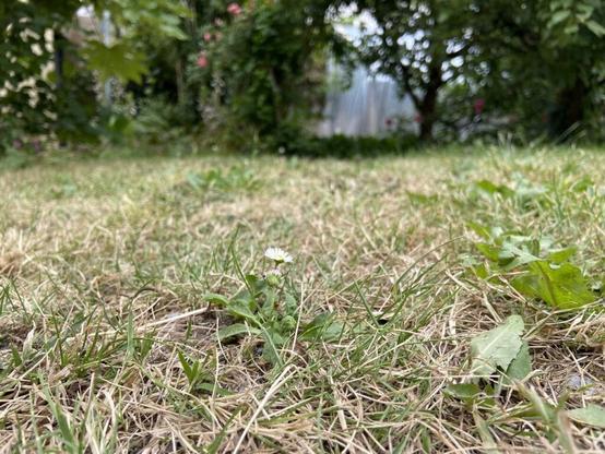 en Bretagne, l'eau manque et la sécheresse pointe le bout de son nez