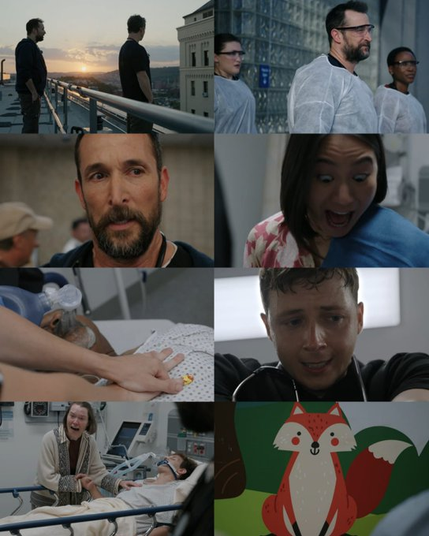 imagem dividid em 8 quadrados com cenas da série que se passa no setor de emergencia do hospital de Pittsburg