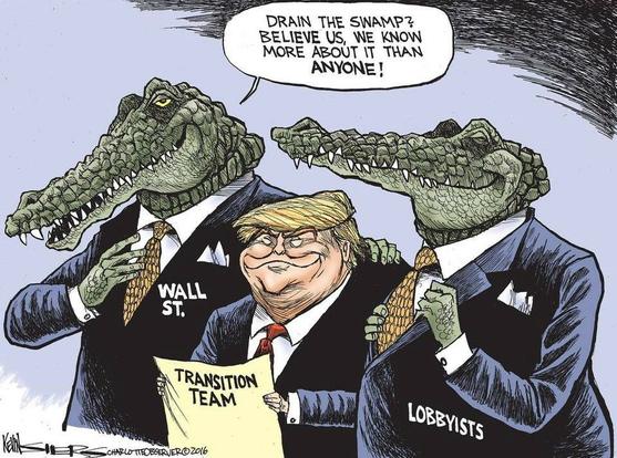A cartoon of two alligators in business suits surrounding Donald Trump, who is holding a piece of paper that says, "Transition team." The alligators both have writing on their jackets -- one says, "Wall St." the other says, "Lobbyists". One of the alligators is saying, "Drain the Swamp? Believe us, we know more about it than ANYONE!"