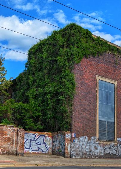 A disused red-brick building is heavily overgrown with green ivy, obscuring much of its left side and roofline against a bright blue sky with wispy clouds and overhead power lines. On the right, a large, tall window is visible, with a slatted vent below it. In the foreground, a low brick wall covered in white and blue graffiti extends from the left. The scene suggests urban decay and nature reclaiming man-made structures.