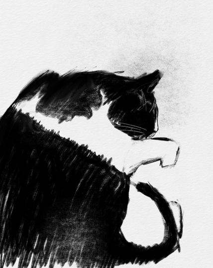 A simple, abstract, digital charcoal drawing of a sleeping black and white cat. She is holding her nose.