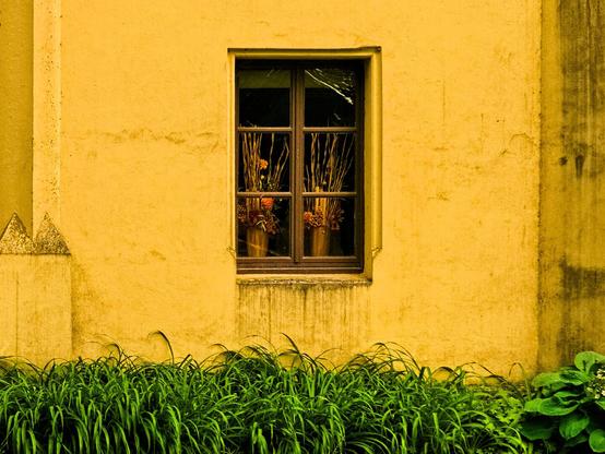 The yellow wall of a house. In the centre is a window with a brown frame, divided into six panes. On the windowsill inside are two vases with dried grasses and orange flowers. Lush green grass can be seen outside the window.