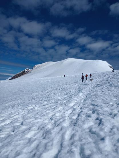 Three climbers and dog ahead of us on the boot track through the snow, headed for the summit on a bluebird day.