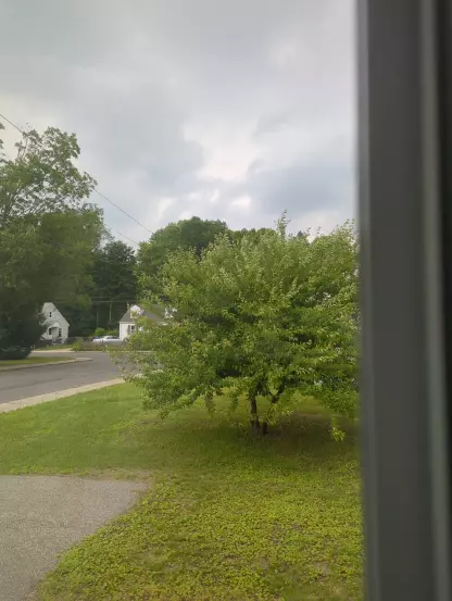 A photo of a thunderstorm cloud and trees moving in the wind.