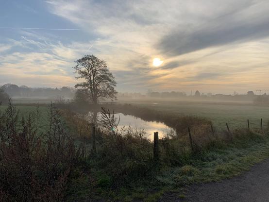Early morning landscape featuring a misty field with a small pond reflecting the rising sun. A solitary tree stands near the pond amidst low-lying fog, under a sky streaked with thin, high-altitude clouds. A grassy path with a wooden post fence runs along the foreground.