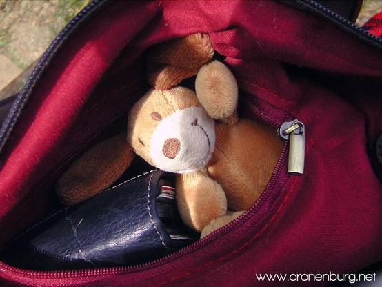 Little beagle plushie grinning and looking out of a purse. It seems as if they are waving. Yes, this is not a cat. It's a prove for my hypothese. You won't like it as much.