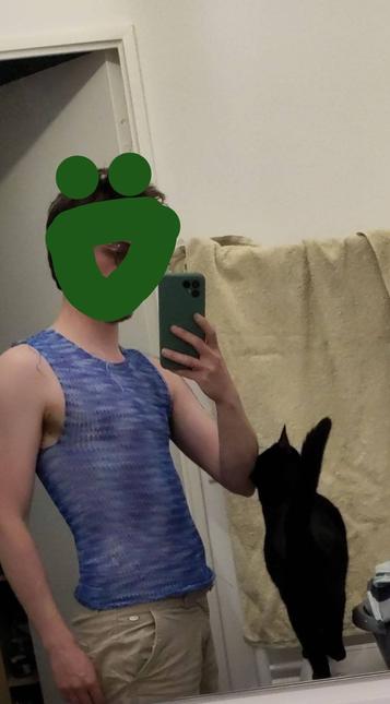 un photo d'un homme blanc mince prise dans le miroir qui porte un haut a moitié transparant (on apperçoit des tétons) bleu. un chat se frotte contre son coude et la tête est caché par un smiley géant vert