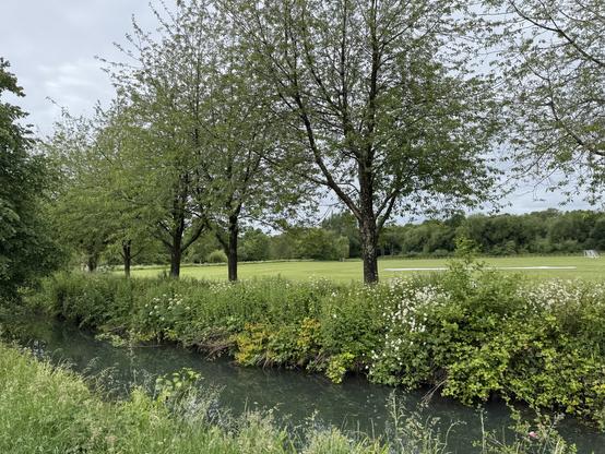 Verdant banks of a canal, flanked by green leafed trees and with green playing fields behind