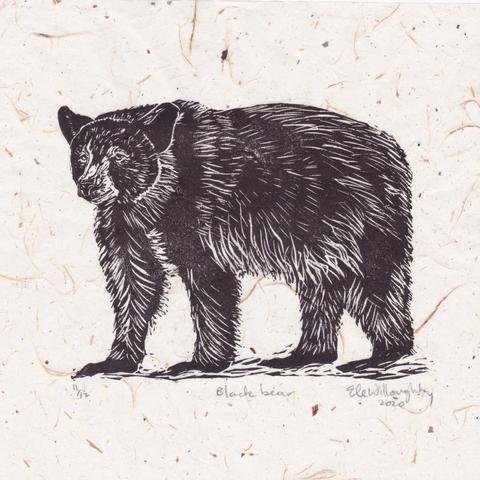 As described, my Black bear linocut on translucent washi paper with bark inclusions.  It’s viewed from the side, standing.