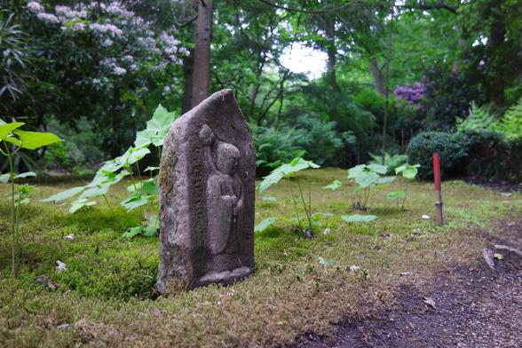 A photo taken at the Japanese Garden Clingendael Park. A small stone statue surrounded by moss and leaves popping up from the ground and on the background green bushes and trees (with flowers).