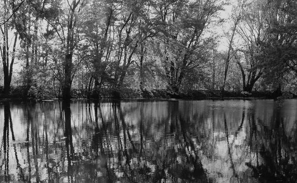 Black and white photograph of the shore of a marsh, taking from the other side, showing tall trees and their image reflected on the slightly rippled and blurred surface of the water.